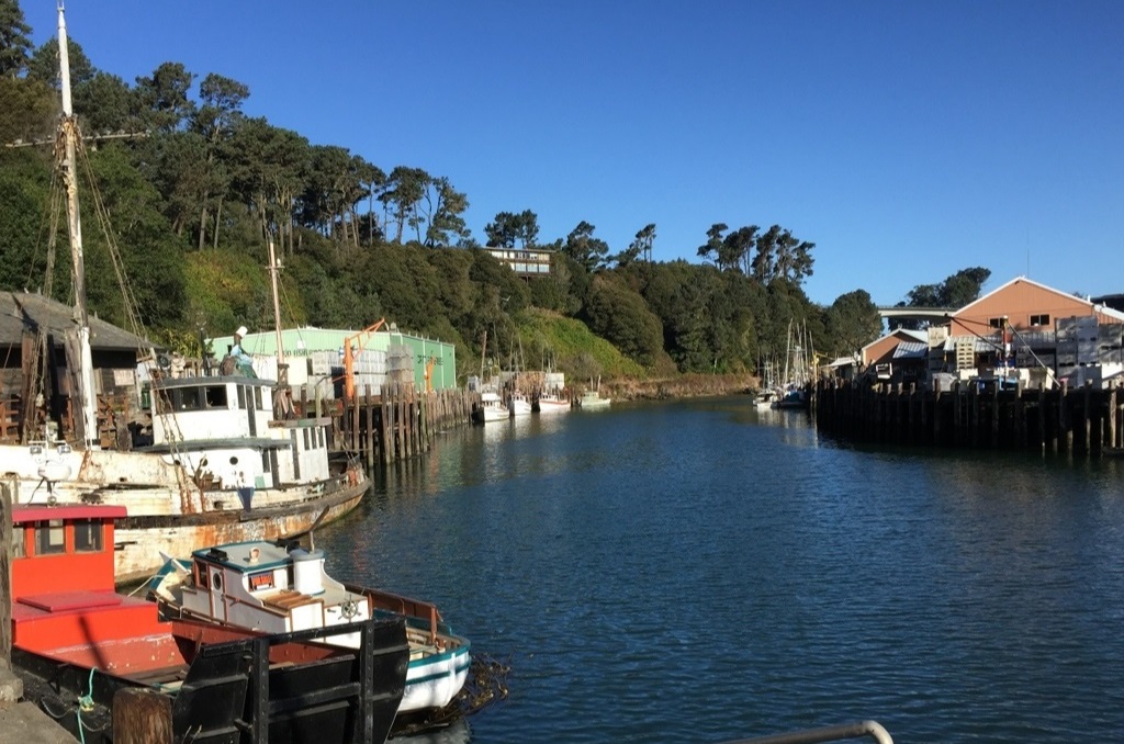 photo of the harbor on a bright sunny day with some old fishing boats