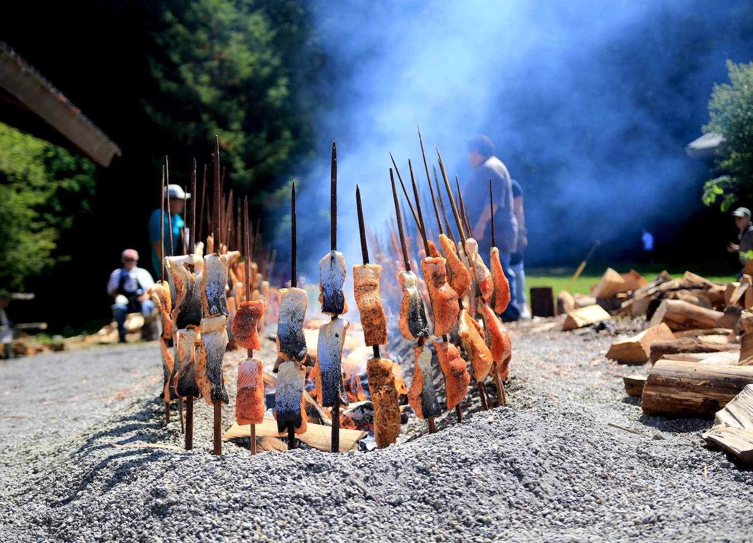 Photo of salmon roasting on sticks by a fire