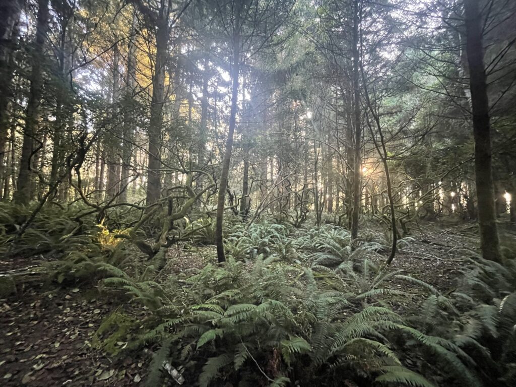 This is an image from our staff's recent trip up north to hold informal discussions with Trinidad Rancheria staff and others to inform marine development efforts.