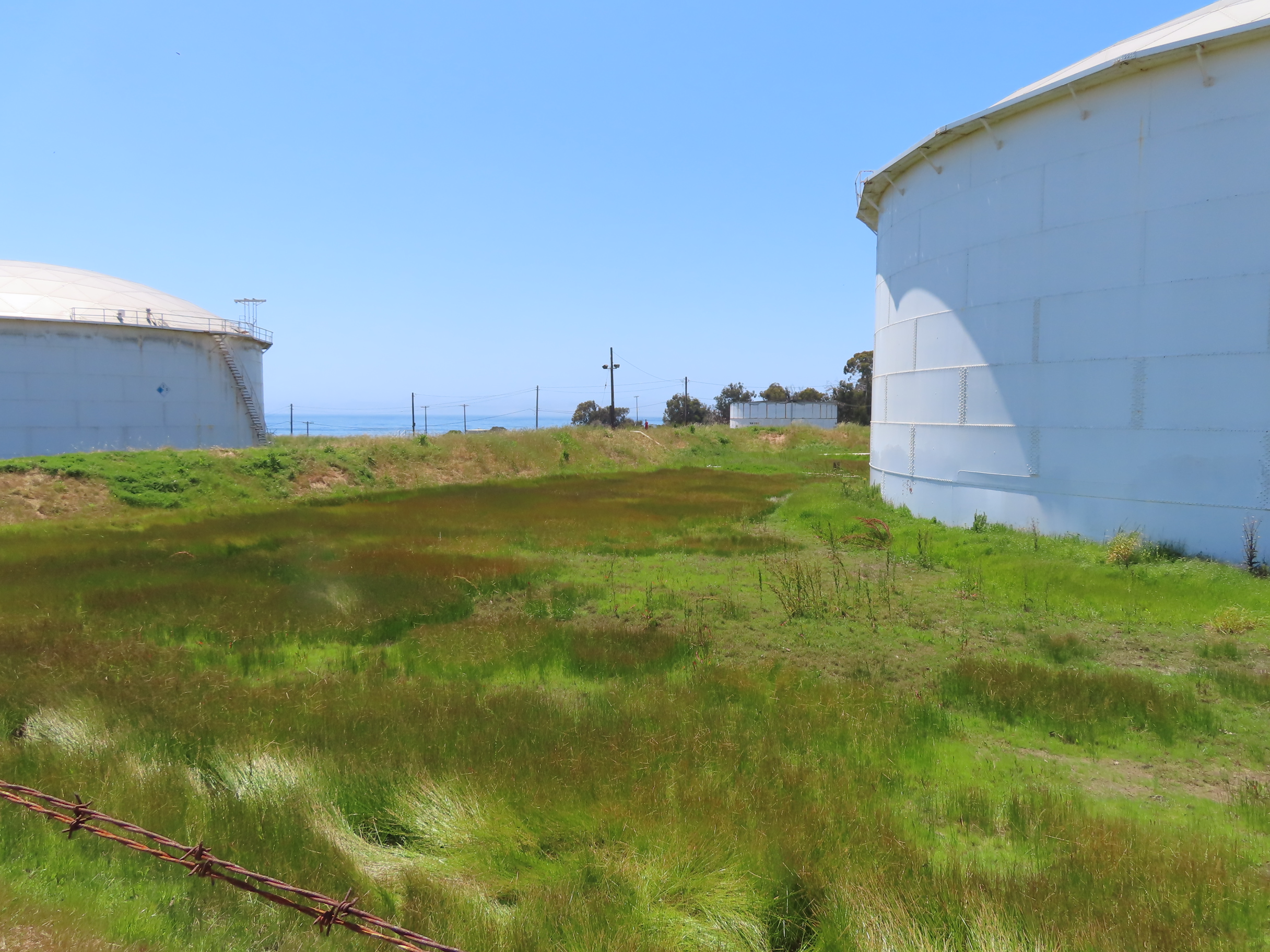 UCSB Site Visit restoration of Ellwood Marine Terminal