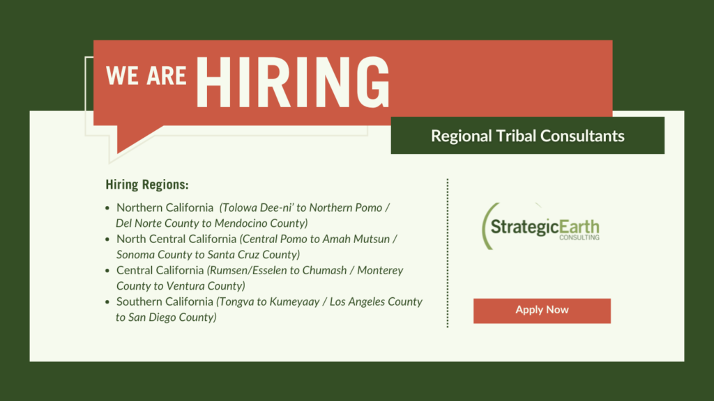 SE Hiring Banner_Tribal Consultants 2024