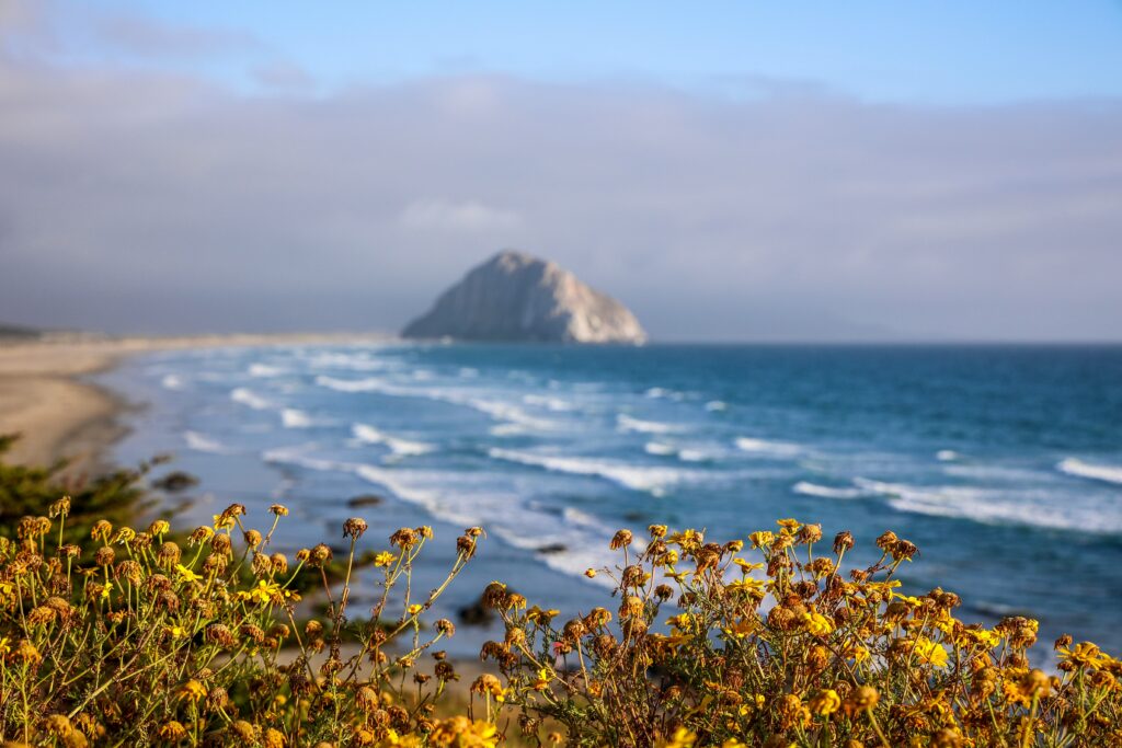 Image of Morro Bay by Fliesentisch Fotograf