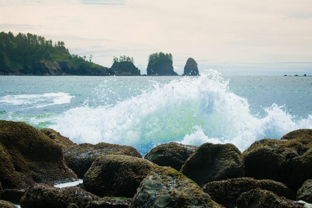 Waves crash along the shore in the Olympic Peninsula, Washington, USA.