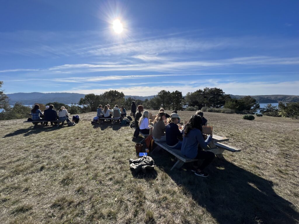 Photo of people meeting at picnic tables in scenic outdoor setting